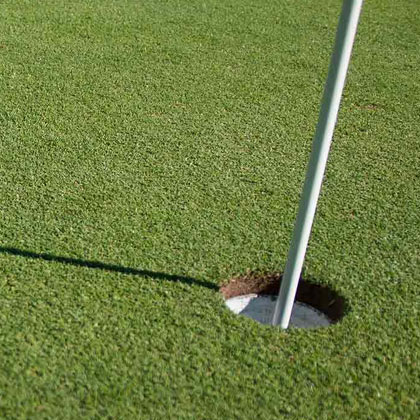 Golf Tournament in Albany